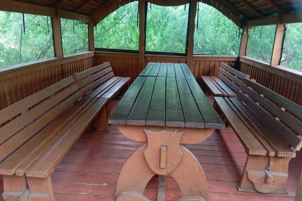 Slide Image