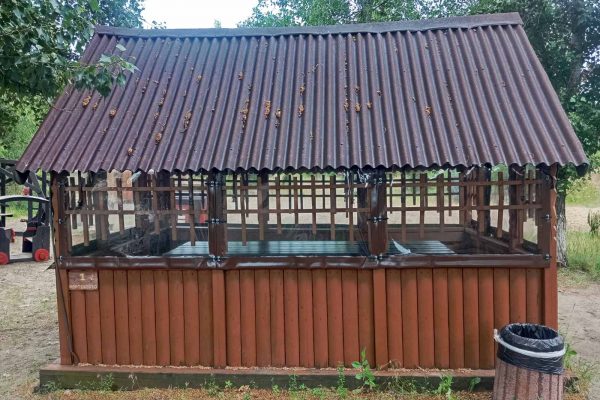 Slide Image